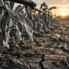 Stress hydrique : après l'été 2026, le sourcing agricole n'est plus une variable d'ajustement