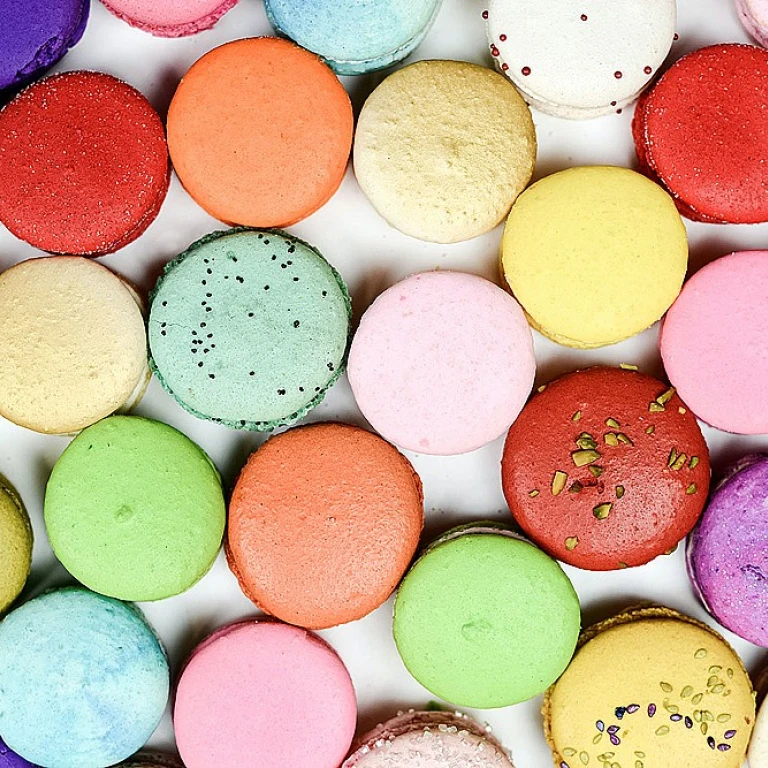 Comprendre l'évolution des prix des pains