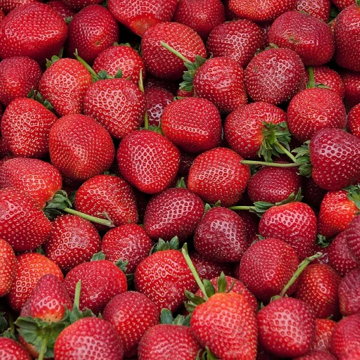 L'importance des caisses en polystyrène dans l'industrie alimentaire