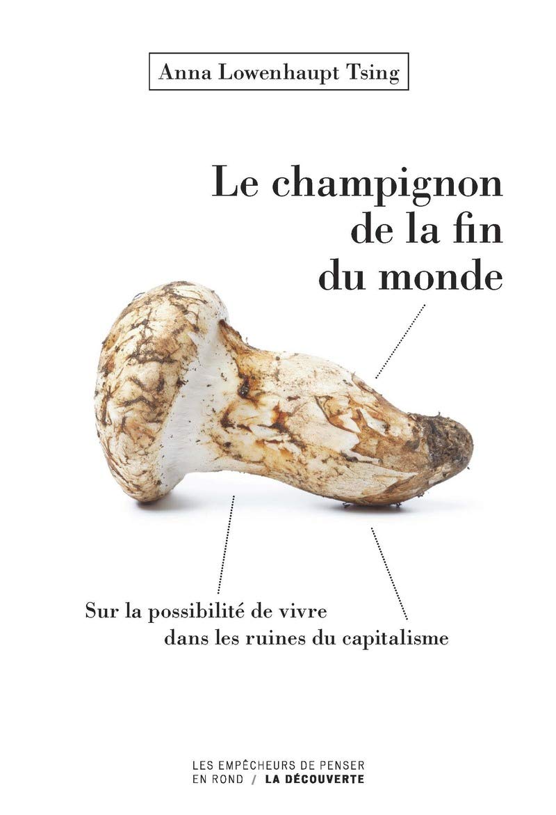 Le champignon de la fin du monde: Sur les possibilités de vivre dans les ruines du capitalisme