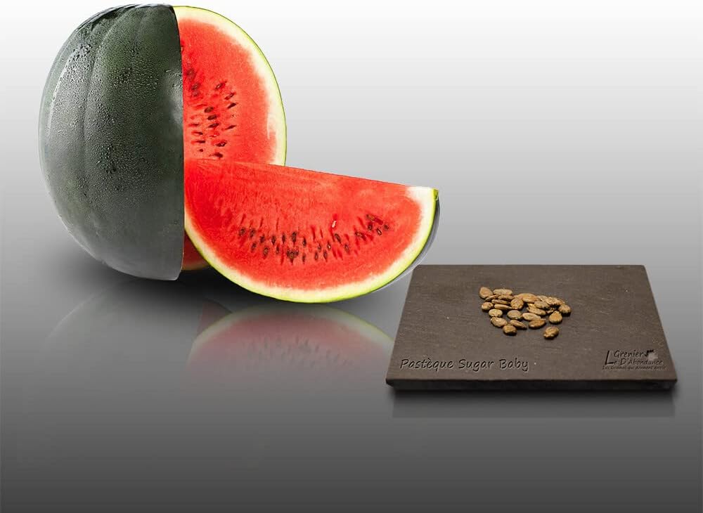 25 graines à semer - Le Grenier d'Abondance - PASTEQUE Sugar Baby - Citrullus lanatus