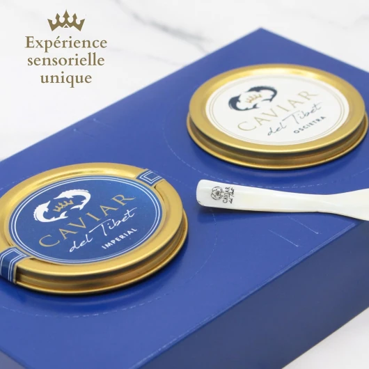 81xr2MG4bTL._AC_SL1500_