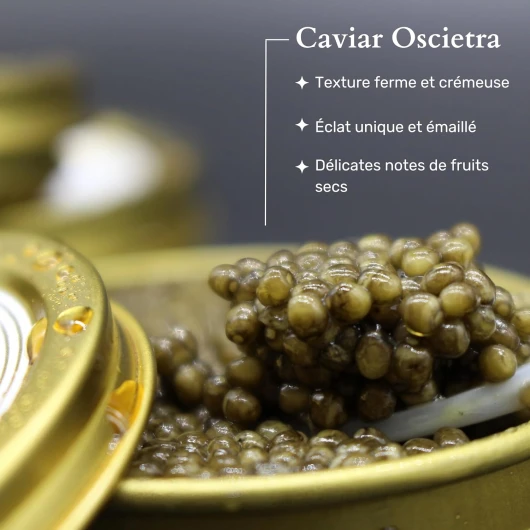 81nB3kmdZWL._AC_SL1500_