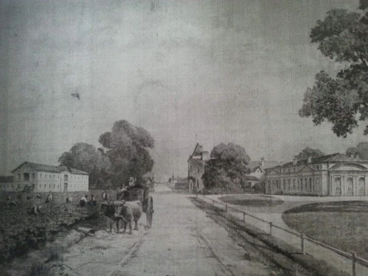 81V158tn4AL._AC_SL1500_