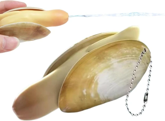 Jouets De Simulation De Palourde À Pulvérisation d'eau, Pendentif Clé D'arrosage À Poussoir en Forme De Géoduck, Artefact De Farces D'extérieur Interactifs Et Mignons pour Fêtes Et Jeux Entre Amis