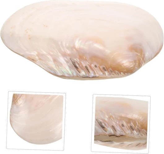 617PLTiGqxL._AC_SL1500_