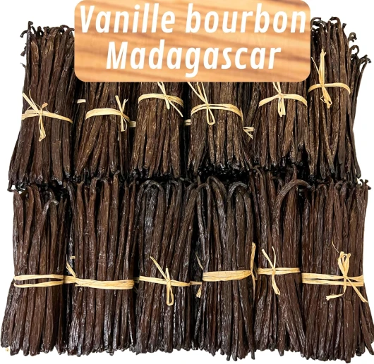 91zFw7NLyAL._AC_SL1500_