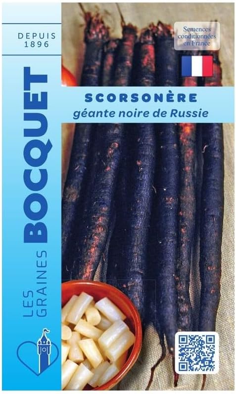Sachet de graines de Scorsonère géante noire de Russie - 5 g - légume racine - LES GRAINES BOCQUET