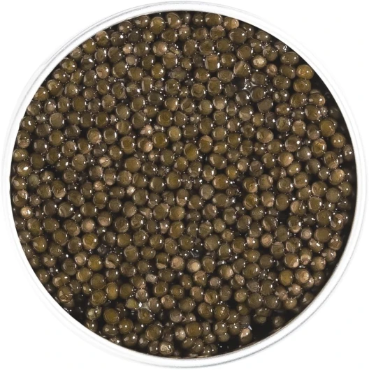 71RUrjRpwbL._AC_SL1500_