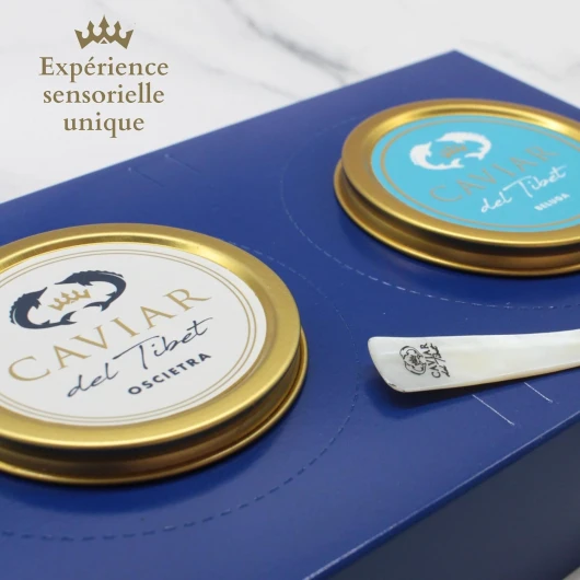 81szubIsQfL._AC_SL1500_