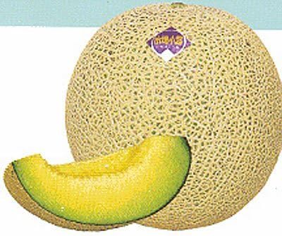 10 graines, Ichiba Kouji, Melon hybride - Cette spécialité Melon domine le marché japonais