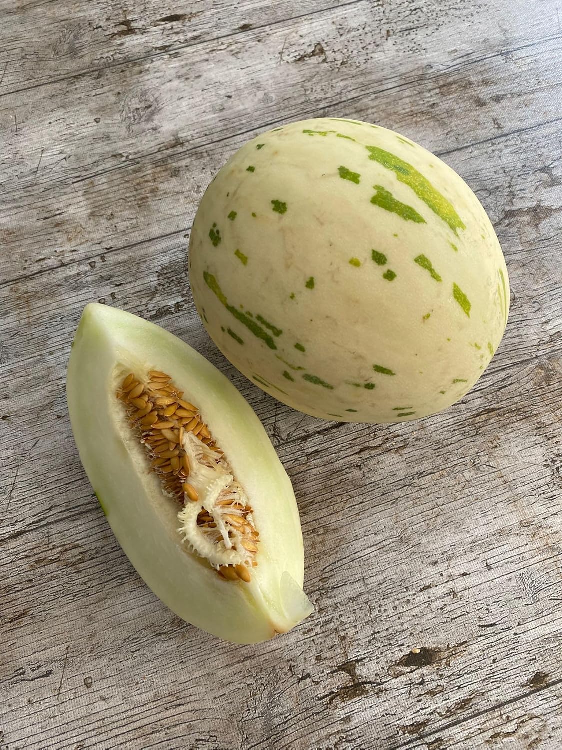 Lot de 10 graines de melon de neige