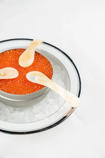 71afpRKYpGL._AC_SL1500_