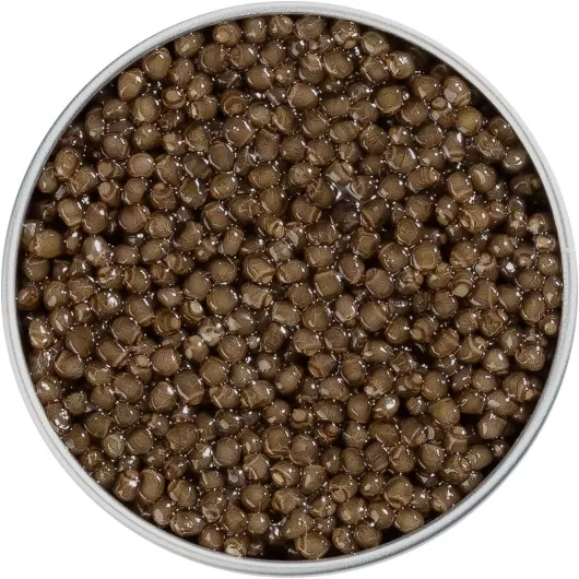 71tAo5TpraL._AC_SL1500_