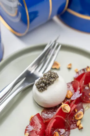 715CugUW8uL._AC_SL1500_