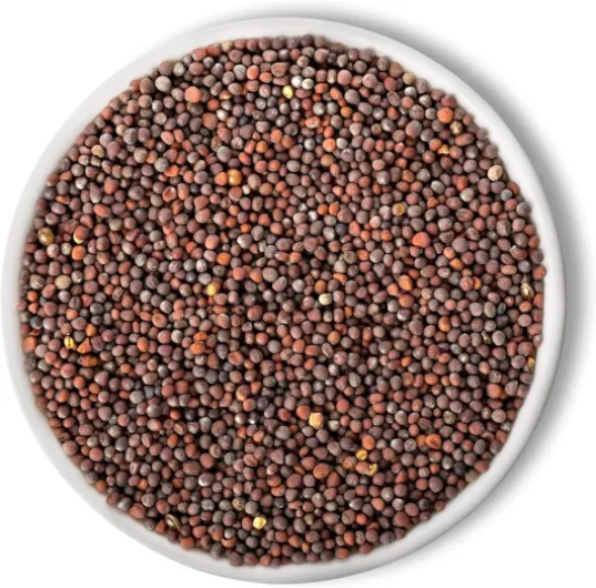 8170U0KRg-L._AC_SL1500_