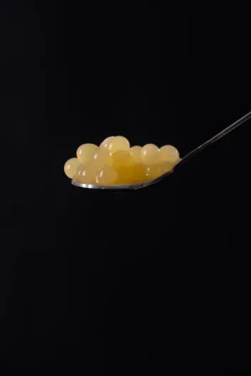 51g7ptnlYwL._AC_SL1500_