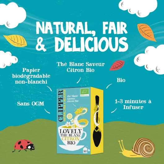 81LeZwgMUOL._AC_SL1500_