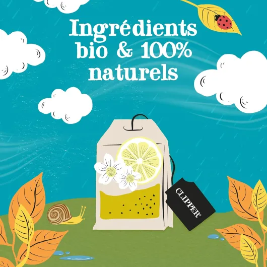 81 ovUx0kyL._AC_SL1500_