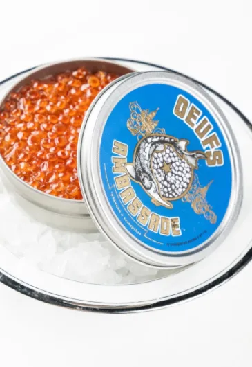 81CldqF7SzL._AC_SL1500_