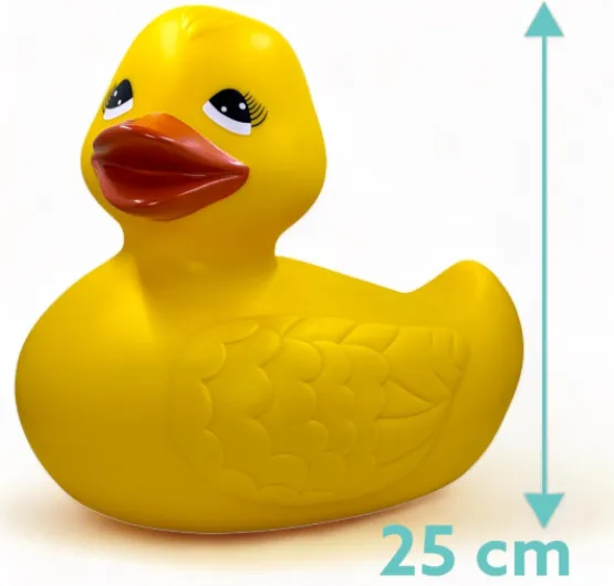 612P B1yzLL._AC_SL1500_