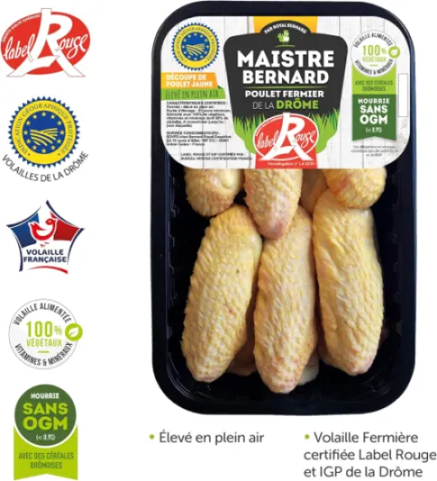 81T-0WTCLGL._AC_SL1500_