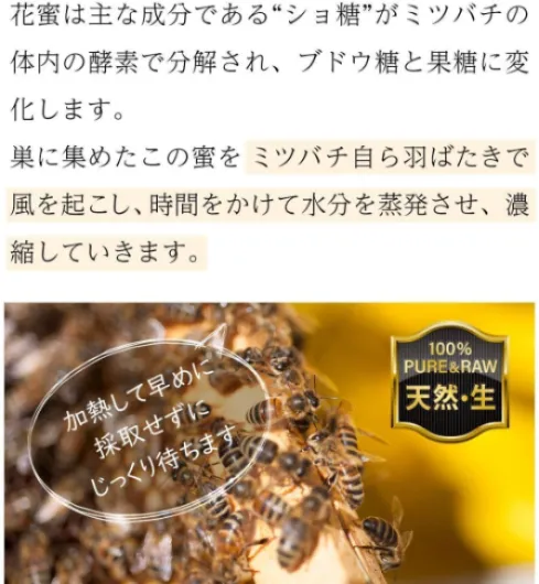 71HwC8ck3ML._AC_SL1200_