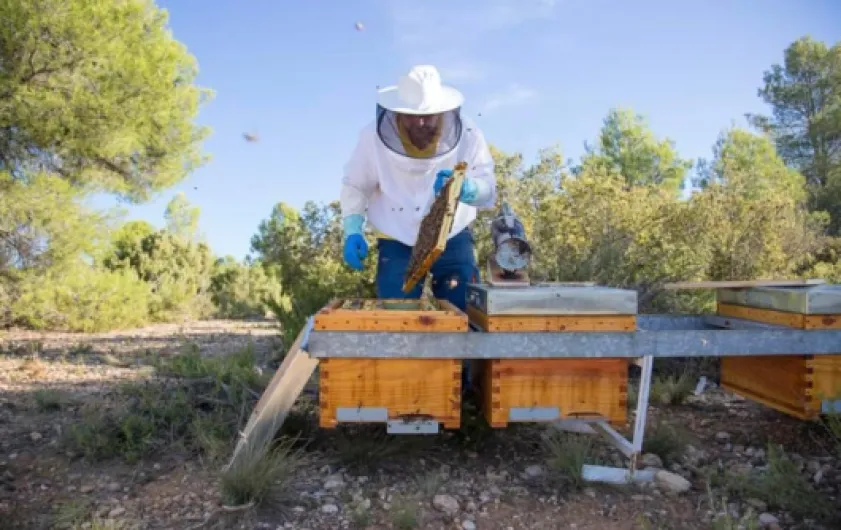 61PQpaAFmGL._AC_SL1006_