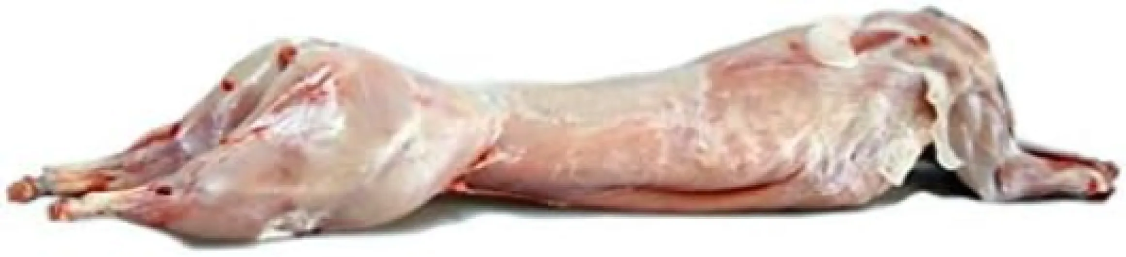 Lapin entier prêt à cuire - Lapin origine France