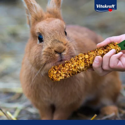 81psdayArDL._AC_SL1500_