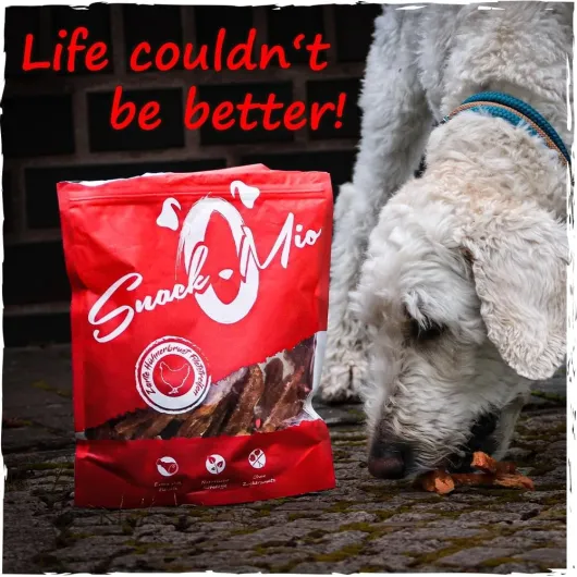 71JIXTOraBL._AC_SL1000_