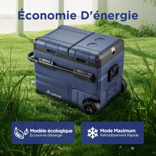 81lubzSFtUL._AC_SL1500_