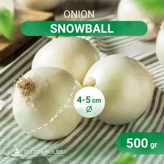 71Tbkytv50L._AC_SL1500_