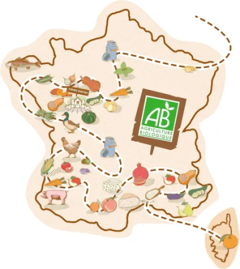 818 V2RzL8L._AC_SL1500_