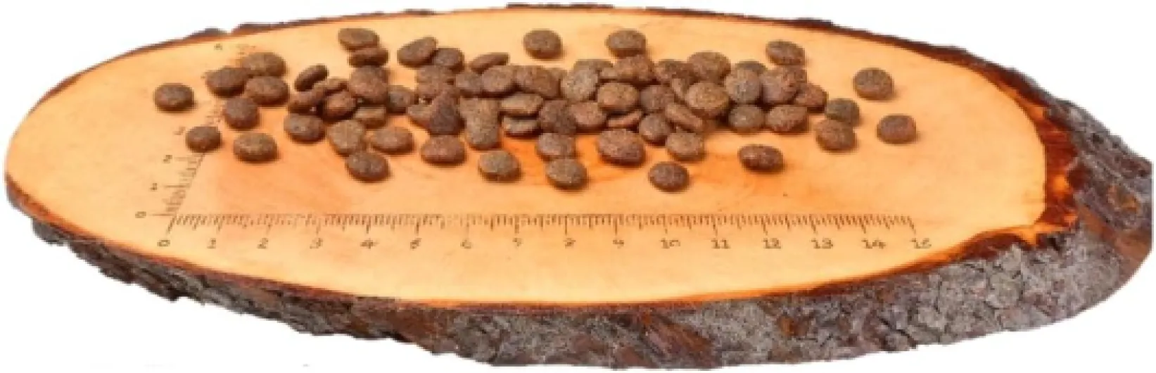 51ZSluJRNbL._AC_SL1500_