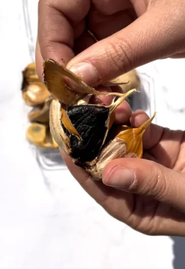 61f6OeVyYML._AC_SL1500_