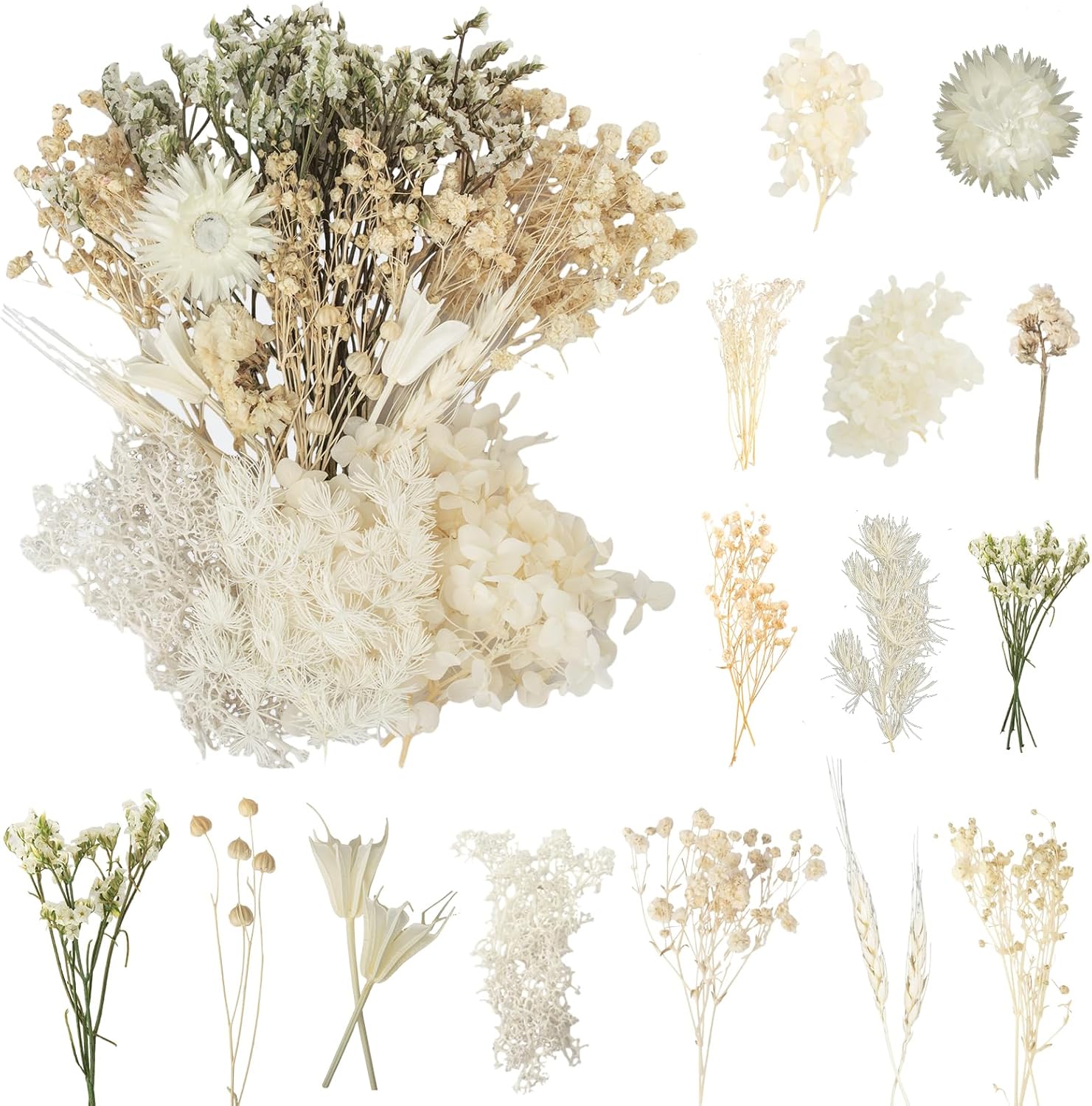 Fleurs Séchées, Fleurs Sechees Naturelles Fleur Séchée pour Bougies Fleurs Sechees Fleurs Séchées Vrac Fleur Sechees Decoration pour Bricolage Résine Epoxyn Art DIY Artisanale Scrapbooking 07 Blanc