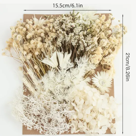 81q5dEK1XhL._AC_SL1500_