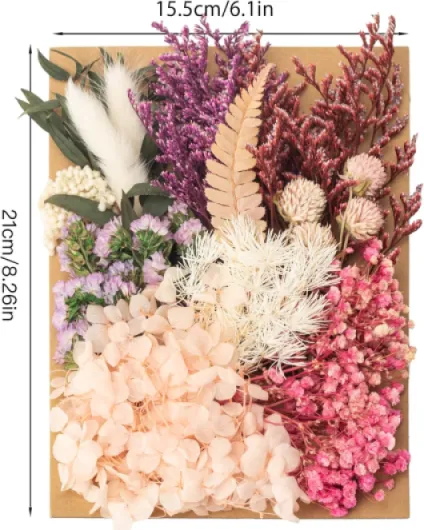 81uO-nlgUrL._AC_SL1500_