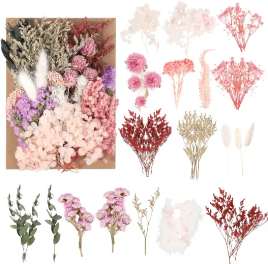 Fleurs séchées Naturelles et pétales séchés – Fleurs séchées colorées pour Loisirs créatifs, idéales pour résine, Bougies, Bijoux & décoration avec Fleur séchée, INCL - Petites Formes variées.