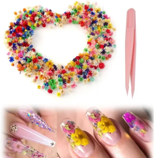 280 Petites Fleurs séchées pour travaux manuels – Mini Fleurs séchées pour résine, Petites Fleurs Naturelles séchées pressées en Vrac pour Bricolage