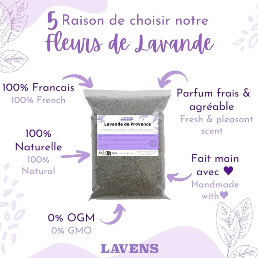 818TPxq4L4L._AC_SL1500_