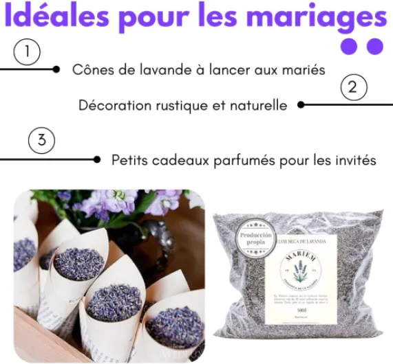 61bdHAoFAeL._AC_SL1080_