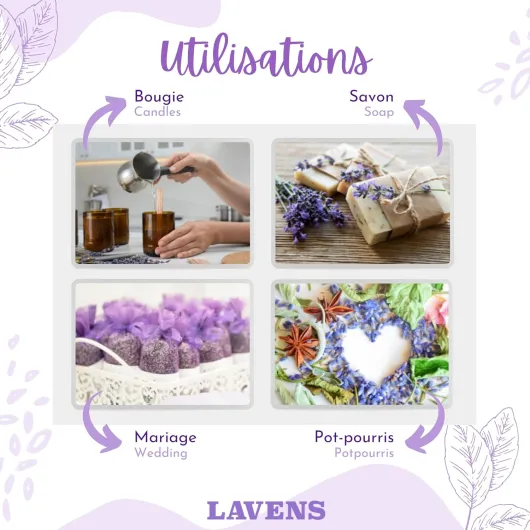 81XQpKxFZoL._AC_SL1500_