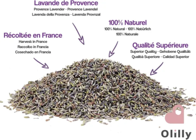 7168iDNASLL._AC_SL1500_