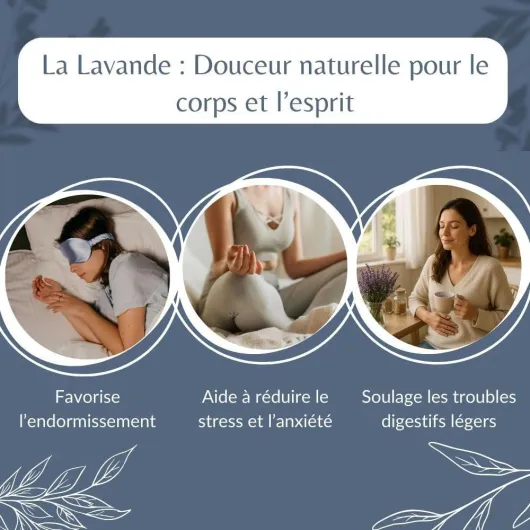 61gCxpZO29L._AC_SL1000_