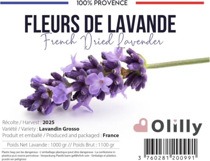 713O8896tTL._AC_SL1500_