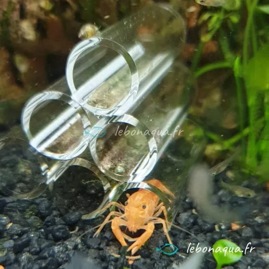 61IJdzHgA2L._AC_SL1000_