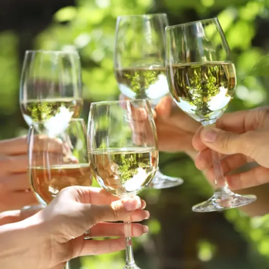 61XNHfOuOCL._AC_SL1115_