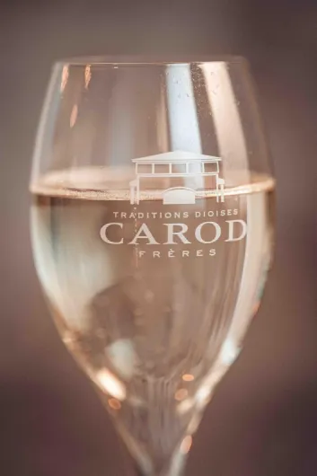 81MjHlgjDpL._AC_SL1500_